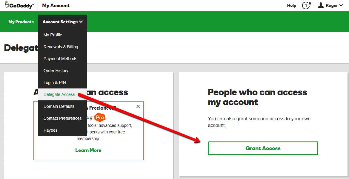 How to Share Delegate Access to Your Domain